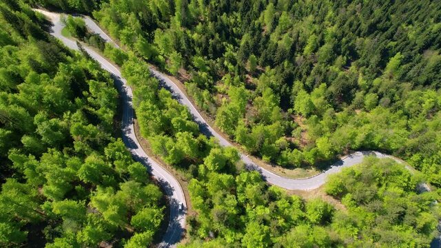 AERIAL: Flying above a switchback road running across an idyllic green forest. Car on leisurely road trip in the Slovenian woods drives along an empty road with sharp turns. Scenic forest route.