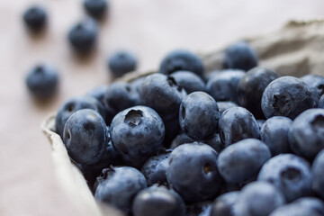 A lot of beautiful juicy fresh summer blueberries in a brown bag on a light background