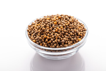 coriander seeds in a bowl on white background