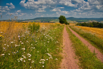 Landschaft bei Bad Salzungen in Thüringen