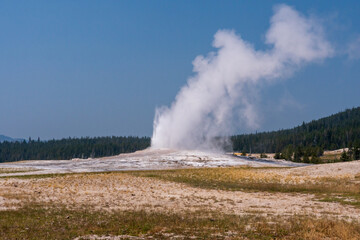 Wide Photo of Old Faithful going off in summer
