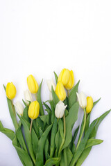 bunch of yellow and white closed tulips blooms white background with copy space