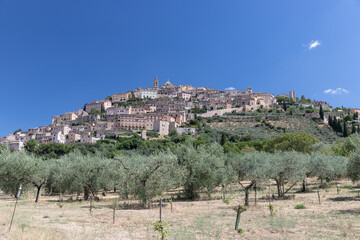 TREVI 15-07-2021. Veduta di Trevi con alberi di ulivo.
