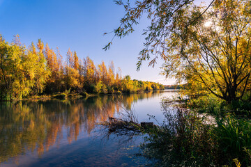 Obraz premium autumn trees reflected in water