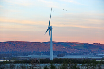 Wind turbine in Scotland in the morning light	
