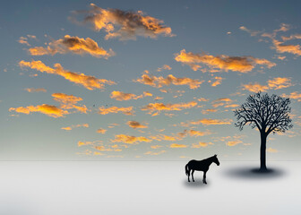 The horse and the tree