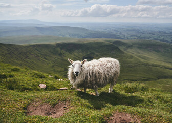 Pen Y Fan - Mountain in Wales, UK