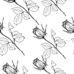 Rose bud, leaves and stem. Pattern. Realistic unblown rose bud. Vector stock illustration. Hand drawing.Isolated on white background. Engraving. Decorative elements for tattoo, greeting card, wedding 