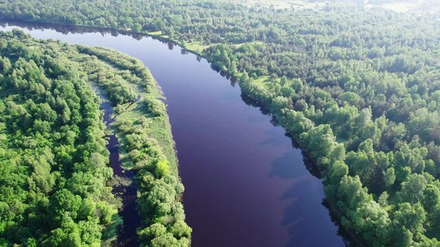 Flying over the bend of a dark-water river with tributaries in a wooded area. Aerial view