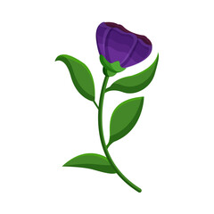 Isoalted flower in aquarelle technique Vector illustration