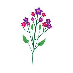 Isoalted flower in aquarelle technique Vector illustration