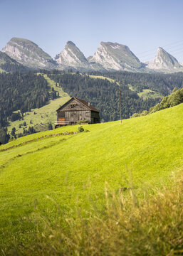 Alph&uuml;tte vor den Churfirsten w&auml;hrend strahlendem Wetter