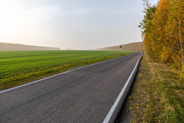 country road in autumn at fog