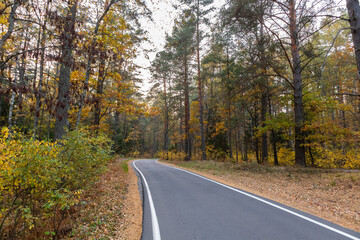 Fototapeta na wymiar narrow curvy road in autumn forest