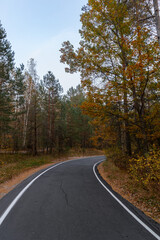 Fototapeta na wymiar narrow curvy road in autumn forest