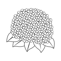 Isolated outline of a flower Vector illustration