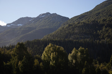 Fototapeta premium landscape with trees and mountains