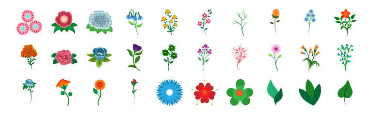 Obraz na płótnie Canvas Set of flowers and leaves sketches Vector illustration
