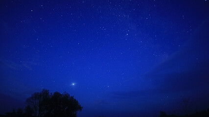 Naklejka premium starry night sky on a warm summer night