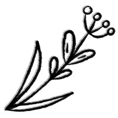 hand drawn illustration of a branch of a tree. hand drawn sketch of a plant, delicate twig with leaves and berries in a simple linear style for design tattoos or web