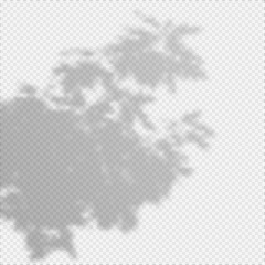 Realistic Vector transparent overlay blured shadow of branch leaves.