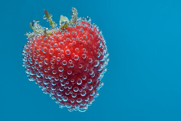 Isolated red strawberry in sparkling water with blue background