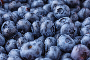 Fresh blueberry background. Blueberry Texture Close Blueberry Antioxidant Organic Superpeed Bowl Concept Healthy Nutrition