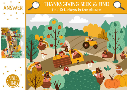 Vector Thanksgiving searching game with cute turkeys in the farm field. Spot hidden birds in the picture. Simple seek and find autumn educational printable activity. Fall holiday family quiz.