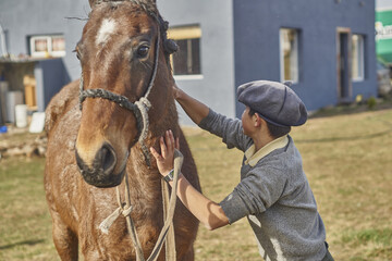 joven cepillando su caballo