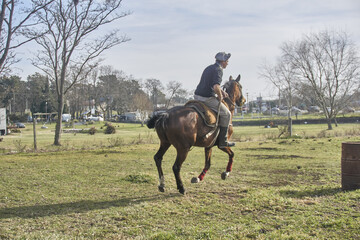 entrenando a caballo