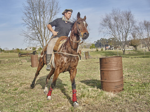 caballo entrenando entre tachos
