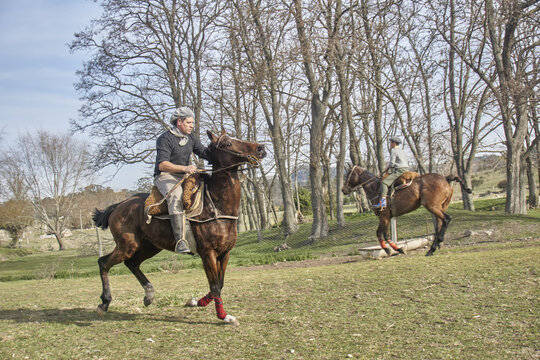 Dos Jinetes A Caballo