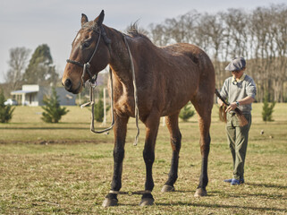 Fototapeta premium joven trensando la cola de su caballo