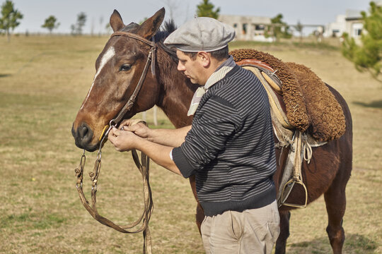 colocando frenillo en la boca del caballo