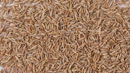 Cumin seed,Indian spices ;arranged on a white textured background which is mainly used for indian foods and traditional medicins.Textures of colorful spices and condiments.