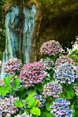 flowers in the garden