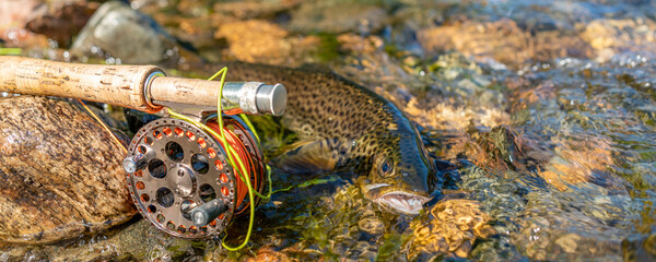 A fly fishing rod and reel on the river bank. Fishing scene on the banks. Banner.