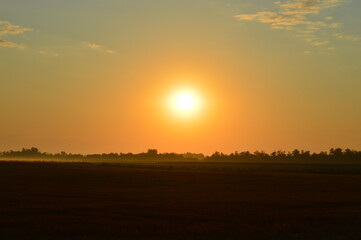 Naklejka na ściany i meble Orange dawn early in the morning over the field