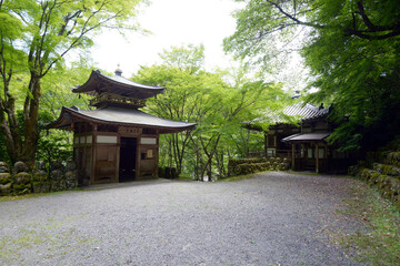 Fototapeta premium 愛宕念仏寺 ふれ愛観音堂と地蔵堂 京都市右京区嵯峨野