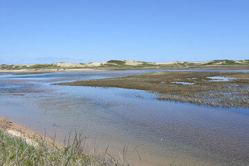 Flowing Tidal Marsh with Water and Marsh Grass