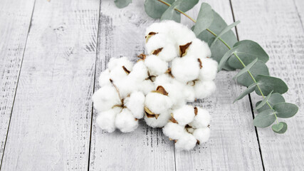 White cotton flowers and green eucalyptus twig on grey wooden table