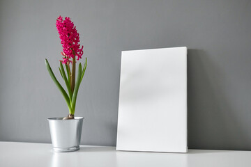 Blank canvas and flower on white table on gray wall background