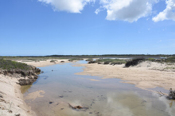 Tidal Pools Along the Outer Cape in Massachusetts