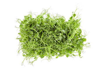 Fresh microgreens isolated on white background top view
