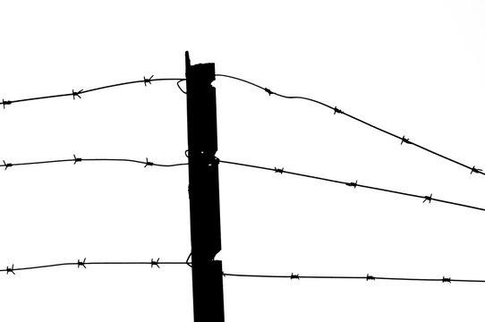 Monochrome image of barbed wire fence in silhouette.