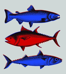 Set of drawings of different seafood. Good quality handmade. Engraving. Can be repainted in a different color.
