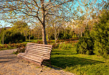 Romantic bench in peaceful park in spring