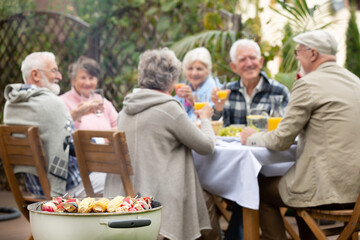 Group of happy senior people during garden party