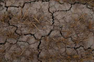 dry and cracked soil in the sun from the heat