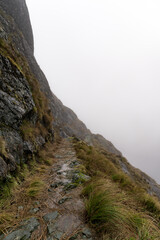 Roteburn track, spring New Zealand